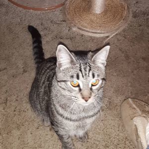 Meet your Posher, Cyndi